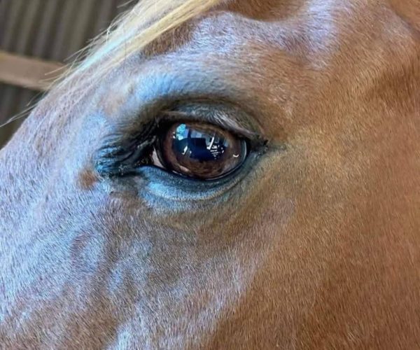 WhatsApp Image 2025-10-21 at 12.40.51 (1)