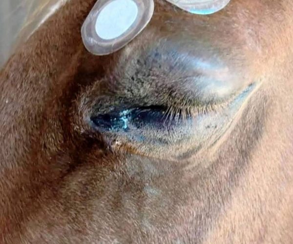 WhatsApp Image 2025-10-21 at 12.40.51